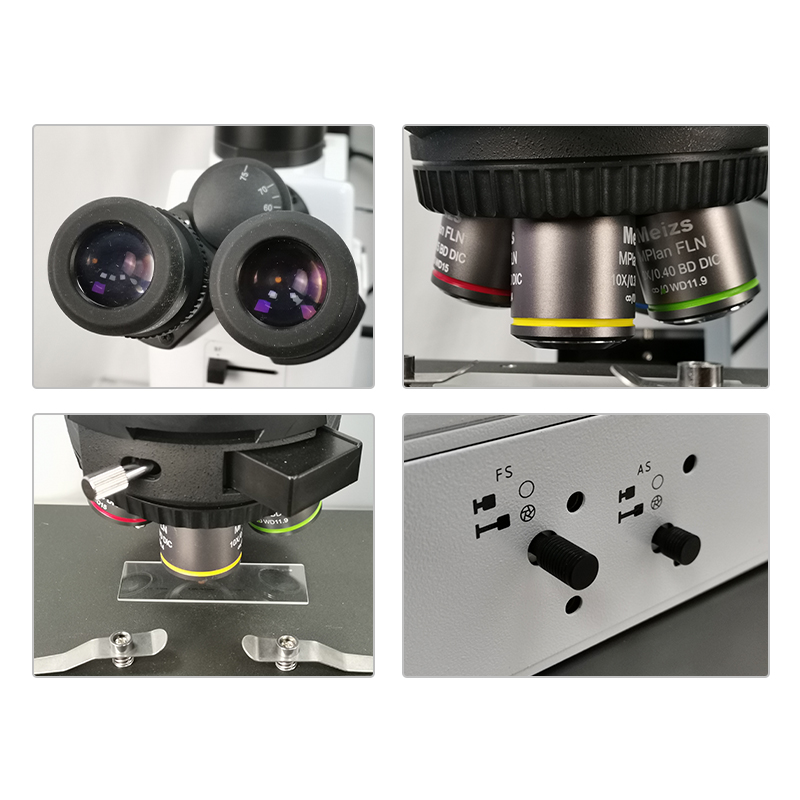 กล้องจุลทรรศน์ตั้งตรงระดับการวิจัย ML9000